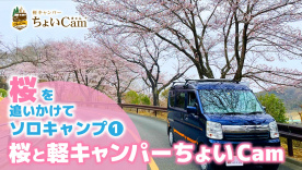 軽キャンパーちょいCamで桜を追いかけてソロキャンプ