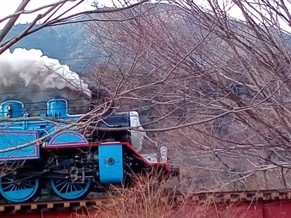 軽キャンピングカーで見に行った大井川鐵道SLトーマス号